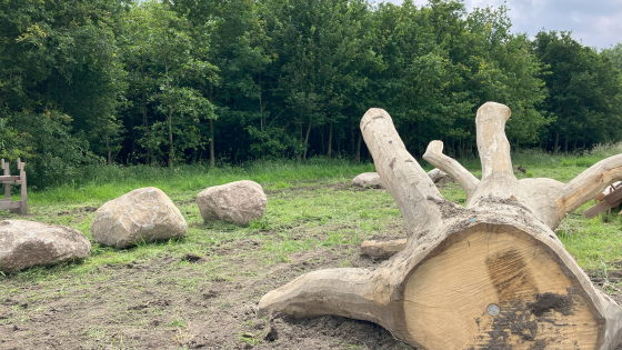 Speel- en picknickruimte Speelbos in Sint-Baafs-Vijve