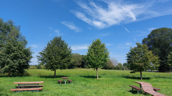 Speel- en picknickruimte Speelbos in Sint-Baafs-Vijve